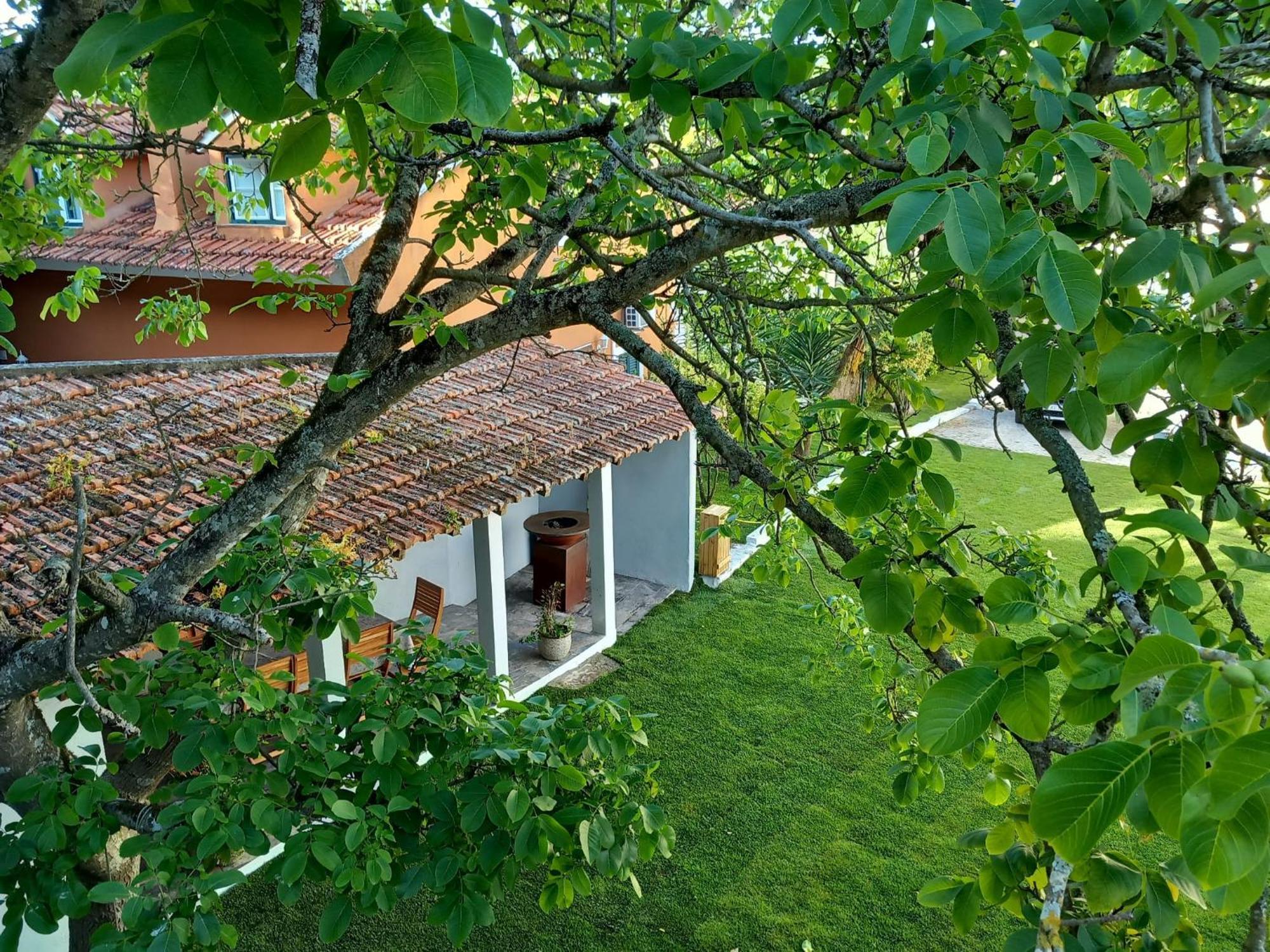 Villa In Sintra - Casa Da Penha Ferrim Eksteriør bilde