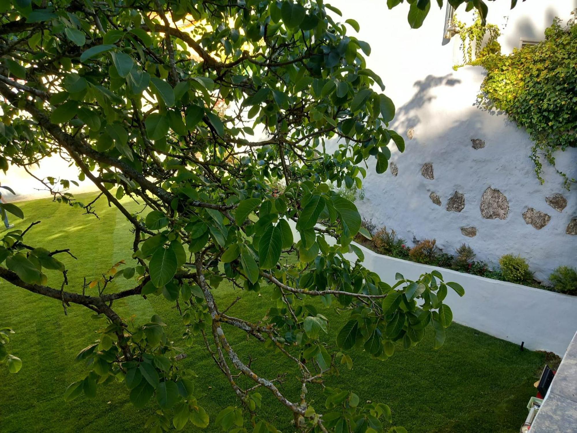Villa In Sintra - Casa Da Penha Ferrim Eksteriør bilde