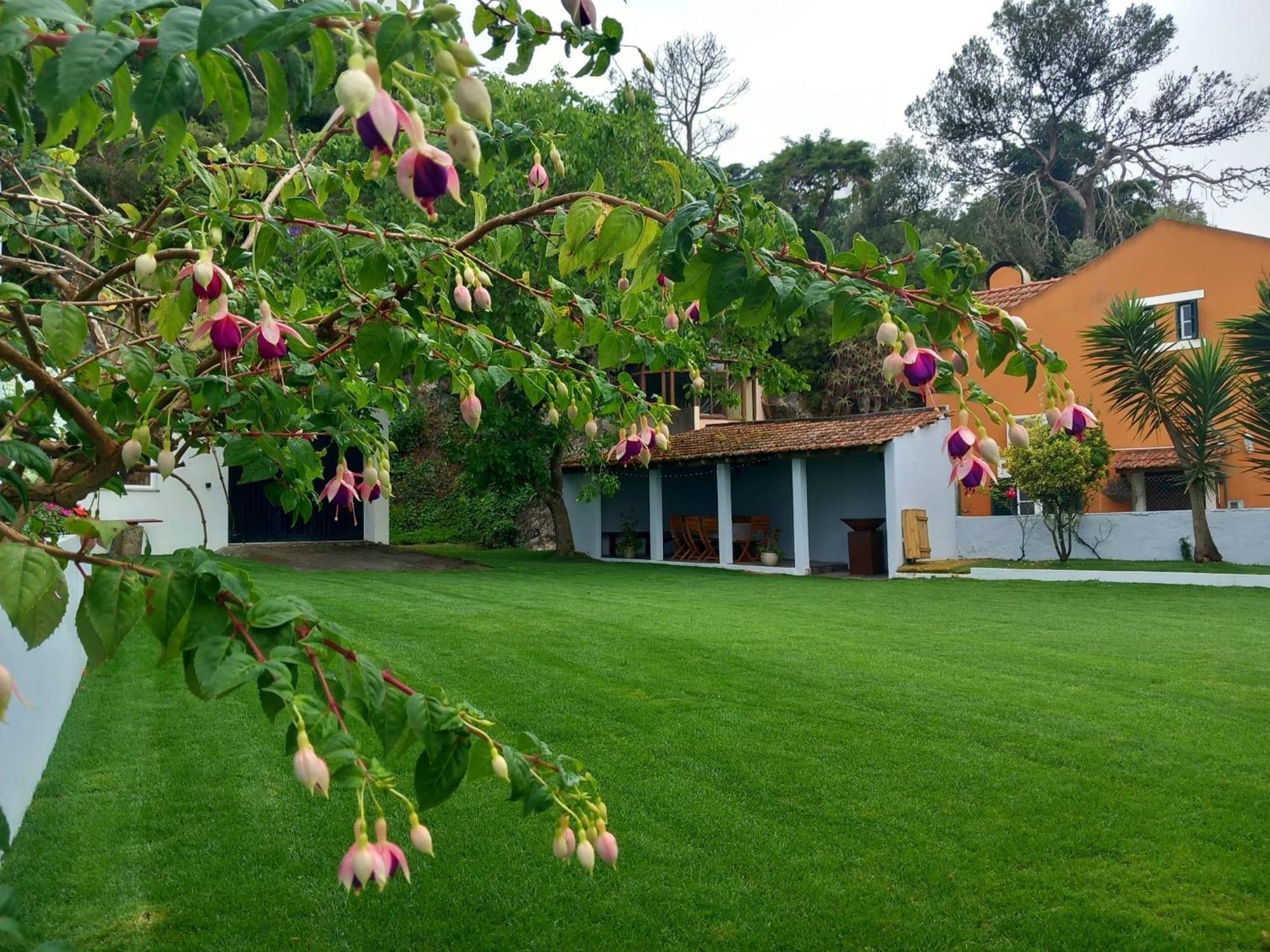 Villa In Sintra - Casa Da Penha Ferrim Eksteriør bilde