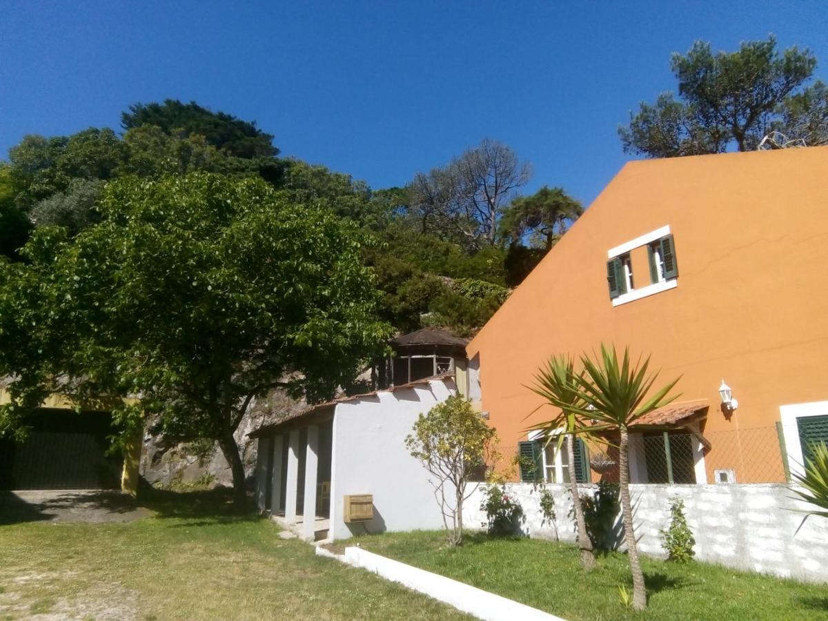 Villa In Sintra - Casa Da Penha Ferrim Eksteriør bilde